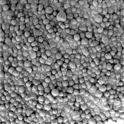 Granules (2) - Sol 811
Per la NASA, tutte le "sferette" che Opportunity incontra durante il suo viaggio, sono "berries" (frutti di bosco). Secondo noi la questione è un pizzico più complessa e di "berries" ce ne sono di diversi tipi:

1) berries peduncolati: sono delle sferule di diametro apparente intorno ai 2/3 cm, dotate di una sorta "stelo" e che costuituiscono un tutt'uno con le rocce su cui si trovano (da una certa distanza possono sembrare dei "funghetti"; vedi "Pilbara Rock" - "Fram Crater");
2) berries liberi: sono delle sferule senza stelo, di diametro variabile (dai 2 o 3 mm e sino ad 1/1,5 cm) le quali sono semplicemente "poggiate" sul suolo di Meridiani;
3) berries vincolati: sono delle sferule senza stelo, di diametro variabile (idem c.s.) ed attaccate alle rocce (ai Rock Outcrops o Pavimenti Marziani, per la precisione);
4) granuli: sono quelli che vediamo in questo frame e nel precedente. Diversi dai berries, sono molto più compatti (come "accatastati" gli uni sugli altri) ed hanno forme e dimensioni variabili.
Parole chiave: Martian surface - Granules - Meridiani Planum