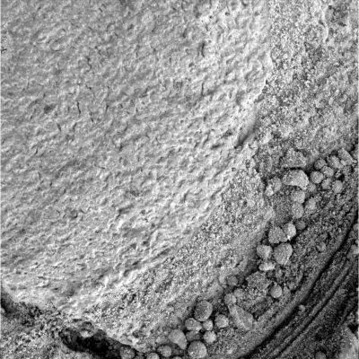 The texture of the surface (4) - Sol 819
Caption NASA originale:"Microscopic Imager Non-linearized Full frame EDR acquired on Sol 819 of Opportunity's mission to Meridiani Planum at approximately 12:06:47 MLT. Microscopic Imager dust cover commanded to be OPEN".
Parole chiave: Microscopic Imager - Martian Soft Soil