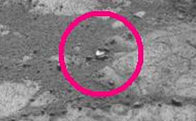 Bright rock (detail mgnf) - Sol 862
nessun commento
Parole chiave: Mars rocks, sand and debris