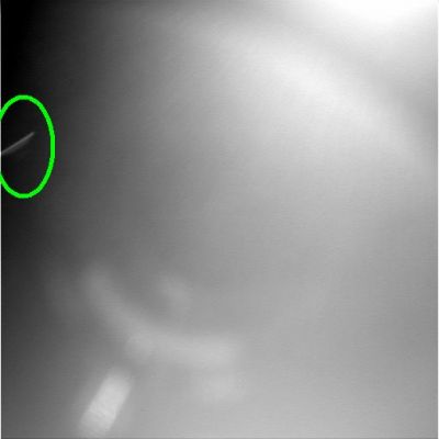 Light effects or "Something" is in the Martian Sky? - context image - Sol 869
Dal sempre attentissimo "occhio" del Dr Gianluigi Barca, un nuovo enigma Marziano: il dettaglio cerchiato in verde è un "effetto prismatico" (raggi di Sole) o è l'evidenza tangibile di una coppia di oggetti) luminosi e veloci (!) che stanno attraversando il campo visivo della fotocamera?

Provate a verificare l'allineamento fra l'Anomalìa e gli altri raggi di Sole che si vedono nel frame e poi rispondete a questa semplice domanda: le tracce luminose catturate sul frame vanno tutti nella (o provengono tutte dalla) medesima direzione?
Rispondendo a questa domanda, forse, risponderete anche al quesito principale...
Parole chiave: Martian Sky - possible Anomaly
