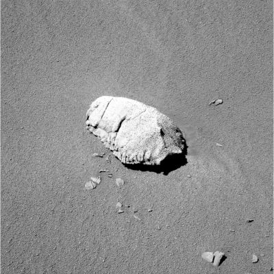 Shell-Rock - Sol 881
Selezionata dal Dr Barca, un'immagine splendida, ricca di dettagli e di spunti di riflessione: Shell Rock, una delle infinite - ma sempre intriganti ed affascinanti - "pseudo-rocce" Marziane.
Parole chiave: Mars rocks - Shell Rock