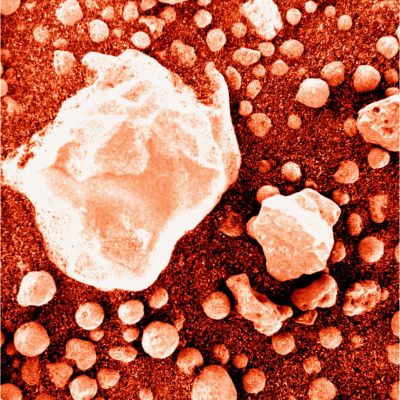 Pebbles (in "Old Martian Colors") - Sol 886
nessun commento
Parole chiave: Microscopic Imager - Martian Pebbles - proximity of Beagle Crater