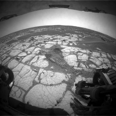 The "Paving" of Beagle Crater (2) - Sol 891
nessun commento
Parole chiave: Beagle Crater