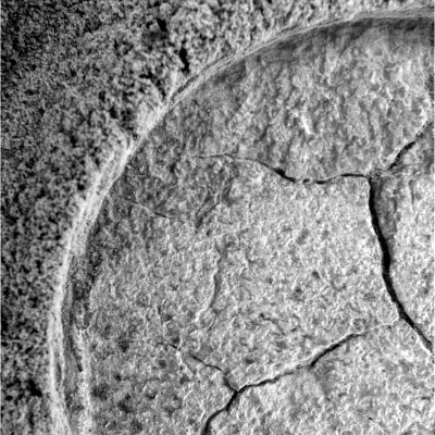 The "Mark" on the Paving (1) - Sol 894
nessun commento
Parole chiave: Microscopic Imager (MI) - Martian Soil's Texture