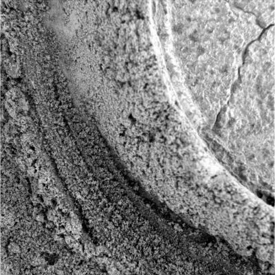 The "Mark" on the Paving (2) - Sol 894
nessun commento
Parole chiave: Microscopic Imager (MI) - Martian Soil's Texture