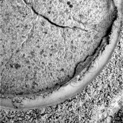 The "Mark" on the Paving (4) - Sol 894
nessun commento
Parole chiave: Microscopic Imager (MI) - Martian Soil's Texture