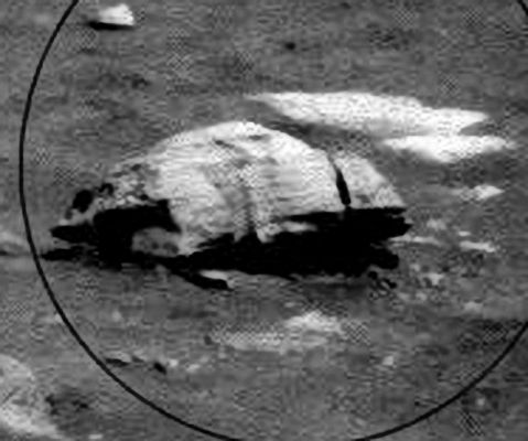 The Third King (detail mgnf) - Sol 900
nessun commento
Parole chiave: Martian Surface - Extremely Unusual Surface Feature