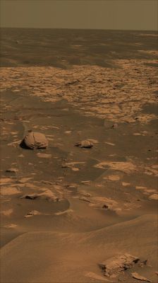 Beagle Crater and 360� Panorama from Sol 901 through 904 (2)
Caption NASA originale:"Though it looks relatively fresh in orbital images, from a closer vantage point Beagle Crater appears moderately eroded. 
The crater walls are slumped and the middle of the crater bowl is filled with rippled sand. However, a slightly raised crater rim remains, and in a few places (for instance, on the inside left wall), cliffs of outcrop appear to be preserved in the crater. Ejected rocks from Beagle Crater surround the Rover, many with the distinctive, fine-grained layering commonly seen in the rocks of Meridiani Planum. Many of these rocks have surfaces smoothed by wind erosion. Wind erosion also formed the sand drifts nestled among the rocks".
Parole chiave: Mars Panorama - Natural Colors (according to NASA)