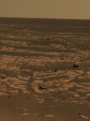Beagle Crater and 360� Panorama from Sol 901 through 904 (4)
Caption NASA originale:"Opportunity made other observations at Beagle Crater, such as spectroscopic measurements taken with the PanCam and the Miniature Thermal Emission Spectrometer, to help scientists assess the composition of the rocks and determine whether Beagle Crater was excavated into the surface rocks of Meridiani Planum or into the ejecta blanket of Victoria Crater". 
Parole chiave: Mars Panorama - Natural Colors (according to NASA)