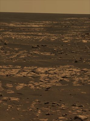 Beagle Crater and 360� Panorama from Sol 901 through 904 (5)
Caption NASA originale:"Beagle Crater takes its unofficial name from a great ship of exploration, the HMS Beagle, whose most famous passenger was British naturalist Charles Darwin. During the Beagle expedition around the world, Darwin conducted many of the observations that led to his theory of natural selection. Scientists have unofficially named many rocks and features in the area of Beagle Crater after the Galapagos Islands and the varieties of finches Darwin observed there. The name Beagle Crater also commemorates the ill-fated British lander, Beagle 2, reminding us how difficult space exploration can be".
Parole chiave: Mars Panorama - Natural Colors (according to NASA)