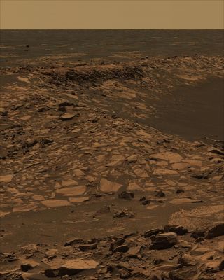 Beagle Crater and 360� Panorama from Sol 901 through 904 (7)
nessun commento
Parole chiave: Mars Panorama - Natural Colors (according to NASA)