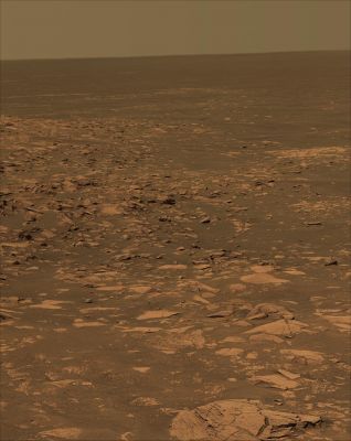 Beagle Crater and 360� Panorama from Sol 901 through 904 (12)
nessun commento
Parole chiave: Mars Panorama - Natural Colors (according to NASA)
