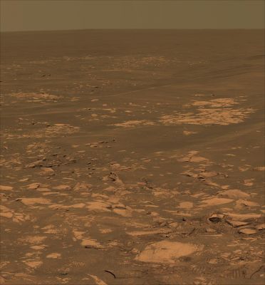 Beagle Crater and 360� Panorama from Sol 901 through 904 (13)
nessun commento
Parole chiave: Mars Panorama - Natural Colors (according to NASA)