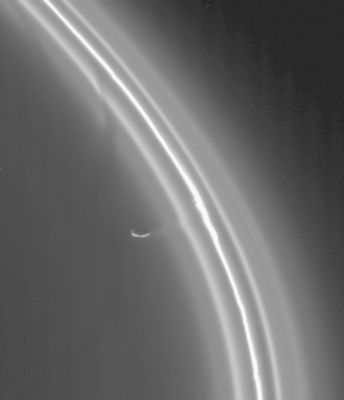 Prometheus and the F-Ring
As it completed its first orbit of Saturn, Cassini zoomed in on the rings to catch this wondrous view of the shepherd moon Prometheus (102 Km across) working its influence on the multi-stranded and kinked F-Ring. The F-Ring resolves into five separate strands in this closeup view. Potato-shaped Prometheus is seen here, connected to the ringlets by a faint strand of material. Imaging scientists are not sure exactly how Prometheus is interacting with the F-Ring here, but they have speculated that the moon might be gravitationally pulling material away from the ring. The ringlets are disturbed in several other places. In some, discontinuities or "kinks" in the ringlets are seen; in others, gaps in the diffuse inner strands are seen. All these features appear to be due to the influence of Prometheus. The image was taken in visible light with the narrow angle camera on Oct. 29, 2004, at a distance of about 782.000 Km from Prometheus and at a phase angle of 147°. Scale is 4.7 Km per pixel".
Parole chiave: Saturn's Moons - Prometheus