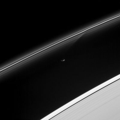 Crossing the Rings...
Original caption:"Prometheus has just passed - and gravitationally disturbed - some of the fine particulate material in the F-Ring, creating the sheared gap visible in the inner strands of the Ring. This view looks down from about 10° above the ringplane. Prometheus and the Rings are sunlit from below. At lower right lies the outermost part of the A-Ring, which grows suddenly brighter outside of the 42-Km-wide (such as about 26-miles) Keeler Gap. 
The image was taken in visible green light with the Cassini spacecraft narrow-angle camera on Aug. 2, 2005, at a distance of approximately 632.000 Km (approx. 392.000 miles) from Prometheus and at a Sun-Prometheus-spacecraft, or phase, angle of 122°. Image scale is 4 Km (about 2 miles) per pixel".
Parole chiave: Saturn's Moons - Prometheus