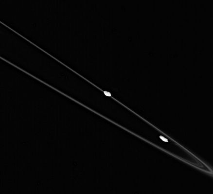 The Runners in the Ring: Prometheus and Pandora
This spectacular image shows Prometheus (at left) and Pandora (at right), with their flock of icy ring particles (the F-Ring) between them. Pandora is exterior to the Ring, and closer to the spacecraft here. Each of the shepherd satellites has an unusual shape, with a few craters clearly visible. 
The effect of Prometheus (about 102 Km across) on the F-Ring is visible as it pulls material out of the Ring when it is farthest from Saturn in its orbit. Pandora is about 84 Km across. 

The image was taken in polarized green light with the Cassini spacecraft narrow-angle camera on Oct. 29, 2005, at a distance of approx. 459.000 Km (about 285.000 miles) from Pandora and 483.500 Km (roughly 300.500 miles) from Prometheus. The image scale is 3 Km (about 2 miles) per pixel on Pandora and 3 Km (idem) per pixel on Prometheus. The view was acquired from about 1/3 of 1° below the Ring-Plane.
Parole chiave: Saturn's Moons - Prometheus and Pandora