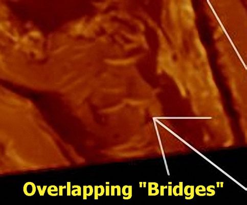 The "Bridges" of Arabia Terra (1) extra-detail mgnf
Un detail-mgnf che ci mostra con sconcertante chiarezza l'impossibilità che questi rilievi sìano il prodotto di azioni eoliche (anche complesse). 

Alcuni Ricercatori suggeriscono un'origine artificiale per questi "ponti!" (o "tubi"); noi supponiamo, invece, una loro origine naturale, ma da investigarsi in un'ottica non geologica (o almeno NON SOLO geologica).
Parole chiave: Mars from orbit - Bridges - Arabia Terra