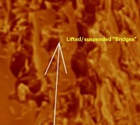 The "Bridges" of Arabia Terra (2) extra-detail mgnf
C'è poco da commentare in questo dettaglio: osservate Voi stessi la conformazione, la configurazione e la posizione di questi indecifrabili rilievi e poi provate a maturare una opinione al riguardo.
A nostro avviso, NON siamo davanti ad image-artifacts nè a rilievi soggetti ad una forma di distorsione dell'immagine dovuta al tipo di angolo visuale adottato da MRO (e quindi rilievi "regolari" che appaiono "distorti" in seguito ad un effetto ottico).

La Verità, al momento, è che siamo in presenza di rilievi peculiari di Marte e, di fatto, non solo inesplicabili, ma anche totalmente ignorati (almeno in via "ufficiale") dalle maggiori Agenzie Spaziali.
Parole chiave: Mars from orbit - Bridges - Arabia Terra