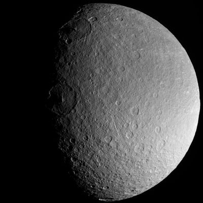Rhea, from about 255.000 Km
Saturn's moon Rhea is an alien ice world, but in this frame-filling view it is vaguely familiar. Here, Rhea's cratered surface looks in some ways similar to our own Moon, or the planet Mercury. But make no mistake - Rhea's icy exterior would quickly melt if this moon were brought as close to the Sun as Mercury. 
Instead, Rhea preserves a record of impacts at its post in the Outer Solar System. 
For exemple, the large impact crater at center left (near the terminator), called Izanagi, is just one of the numerous large impact basins on Rhea. 
This view shows principally Rhea's Southern Polar Region, centered on 58° South and 265° West. 
The image was taken in visible light with the Cassini spacecraft narrow-angle camera on Aug. 1, 2005, at a distance of approx. 255.000 Km (such as about 158.000 miles) from Rhea and at a Sun-Rhea-spacecraft, or phase, angle of 62°. 
The image scale is 2 Km (about 1,2 miles) per pixel.
Parole chiave: Saturn's Moons - Rhea
