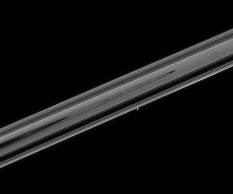 Distances...
Caption NASA originale:"This sweeping view from Cassini gives a sense of the awesome scale of the planet's disk-like ring system, which stretches many thousands of kilometers into the distance. The shepherd moon Prometheus maintains a lonely sojourn with the thin, outer F-Ring. 
A notable brightening of the F-Ring material is visible ahead of Prometheus in its orbit, near the right side of this image. 
The view was obtained in visible light with the Cassini spacecraft narrow-angle camera on Feb. 18, 2005, at a distance of approximately 1 MKM (approx. 621.000 miles) from Prometheus and at a phase angle of 105°. The image scale is 6 Km per pixel".
Parole chiave: Saturn's Rings and Prometheus