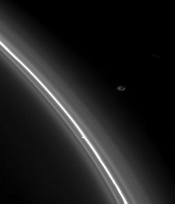 Pandora, Prometheus and the F-Ring
Original NASA caption:"From just outside the faint edge of Saturn's F-Ring, the moon Pandora keeps watch over her fine-grained flock. 
The outer flanks of the F-Ring region are populated by ice particles approaching the size of the particles comprising smoke! 
As a shepherd moon, Pandora helps her cohort Prometheus confine and shape the main F-Ring (Pandora is 84 Km (such as 52 miles) across while Prometheus is 102 Km (such as 63 miles) wide and orbits interior to the F-Ring. 
The small knot seen attached to the core is one of several that Cassini scientists are eyeing as they attempt to distinguish "embedded moons" from "transient clumps of material". 
The image was taken with the Cassini spacecraft narrow-angle camera on Aug. 2, 2005, using a filter sensitive to wavelengths of infrared light centered at 930 nnmts at a distance of approx. 610.000 Km (such as about 379.000 miles) from Pandora and at a Sun-Pandora-spacecraft, or phase, angle of 146°. Image scale is 4 Km per pixel".
Parole chiave: Saturn's Moons - Pandora