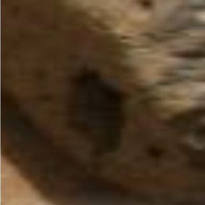 "Slot Rock" - Sol 14 (Natural Colors; credits for the additional process. and color.: NASA/JPL)
Pretendere di NON vedere il foro in oggetto, è impossibile (se si lavora in Buona Fede); credere, una volta individuata la Singolarità, di essere riusciti a "quadrare il cerchio" e di avere davanti una ("evidente") "opera artificiale"...Beh, a nostro parere significa non avere davvero idea di quello che si sta dicendo e cercando. Coloro che sostengono l'artificialità di innumerevoli oggetti fotografati, nel tempo, dalle Sonde Viking e poi dal Pathfinder, da Spirit e da Opportunity, dovrebbero provare a farsi una passeggiata in montagna, attraversare qualche pietraia (sul Carso, per parlare di "casa nostra", ce ne sono tantissime) e quindi scattare un pò di fotografie "random". 
Non sarebbe difficile, una volta sviluppate le immagini, trovare degli enormi quantitativi di "manufatti" e di "Singolarità", senza per questo arrivare sino a Marte.

Cosa intendiamo dire? Quello che abbiamo già detto tante (forse troppe) volte: se si cercano Manufatti "a tutti i costi", si finisce SEMPRE con il trovarli...
Parole chiave: Controversial frame