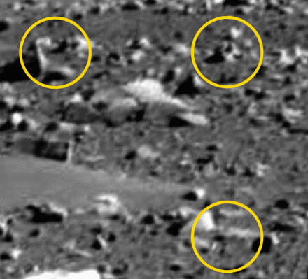 Something on Mars is moving... - Sol 52
Immagini come queste - individuate e "montate" dal Dr Alessio Feltri - la NASA non le vede e, se le vede, non le commenta. 
C'è qualcosa che si muove su Marte? Noi diremmo di si: senza alcun dubbio. Il cambio di prospettiva e di angolo di ripresa, infatti, NON può provocare simili "danze"! Ma citiamo l'Amico Alessio:"...Naturalmente ci sono anche i soliti sferoidi di passaggio, ma è normale per il Luna Park Marziano. Comunque ti mando in allegato un'animazione degli sferoidi che ho trovato io, ma noterai che ce ne sono molti altri oltre a quelli che ho indicato. Praticamente ne trovi un po' in tutti i frames marziani, come puoi vedere in quest'altra animazione di Sol 52 che ho scelto a caso e in cui ho indicato alcuni dei fenomeni non dovuti al cambio di obbiettivo..."

E allora...Le "rocce" di Marte, Area Gusev Crater, sono "autentiche rocce"? 
Sono "gusci"?
Sono "esseri viventi"?...

Il Dr Feltri è molto chiaro nella sua "provocazione" e noi siamo d'accordo con lui. 
Ma Voi che ne dite?!?
Parole chiave: Mars rocks, sand and debris - Highly Controversial image