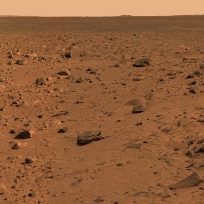Bonneville Crater and a 360� panorama (2) - Sol 68
nessun commento
Parole chiave: Mars Panorama