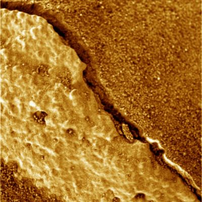 Unsual Surface Features - Sol 1007 (False Colors)
La "Saga" di Spirit ed Opportunity, una volta superato l'incredibile risultato dei 1000 Soles su Marte, procede in questa nuova Sezione la quale, al pari di "Walking on Mars", Vi proporrà istantanee belle da guardare ed istantanee controverse da discutere, allo scopo (primario e finale) di "capire"un pò di più di quello che sta accadendo su Marte e - grazie ai Rover - davanti ai nostri occhi.

In questi primi frames, dettagli della Superficie Marziana ottenuti da Spirit usando il Microscopic Imager. Che cosa vedete? Noi vediamo sabbie compatte e molto simili, visivamente, alle "sabbie umide" che si possono trovare in riva al mare o sul greto di tanti fiumi; vediamo dettagli di rilievi superficiali i quali ci ricordano molto di più dei residui organici fossili piuttosto che delle "scorie vulcaniche".

Vediamo, insomma, tanti dettagli che meriterebbero analisi ben più accurate, approfondite e credibili delle nostre. Analisi che, però - ancora oggi, purtroppo -, non vengono effettuate.
Parole chiave: Martian Soil - natural (but enhanced) colors