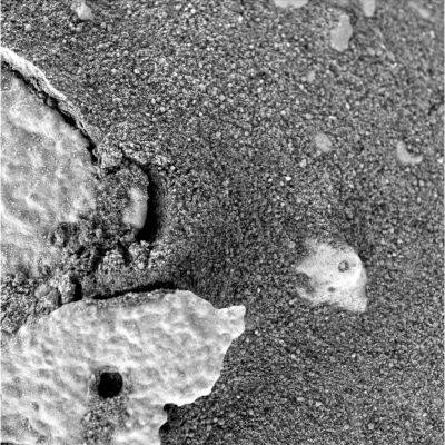 Unusual surface material (wuth a little "hole" in it) - Sol 1007
nessun commento
Parole chiave: Martian Soil - Controversial