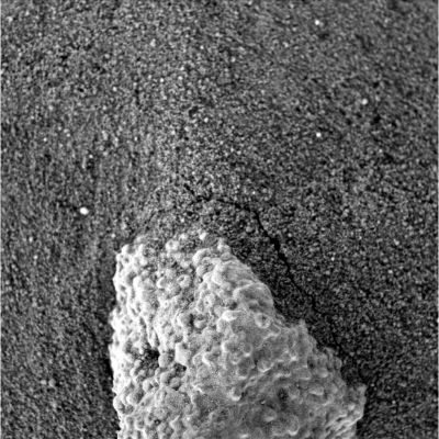 Looking close... - Sol 1007
nessun commento
Parole chiave: Martian Soil - Controversial