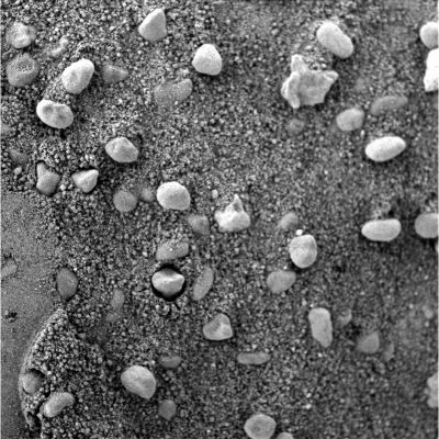 Pebbles in the (wet?) Martian Sand - Sol 1008
nessun commento
Parole chiave: Martian Soil - Pebbles
