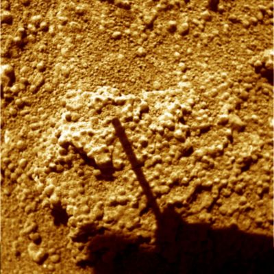 Martian "Berries", "Sand" granules or just rocky "Native Lifeforms"? - Sol 1027 (False Colors; credits for the additional process. and color.: Dr Paolo C. Fienga - Lunexit Team)
Difficile commentare "pragmaticamente" il dettaglio che l'ombra del Rover sembra indicare: non è un semplice "Martian Berry" e la struttura alla quale accede ci pare molto difficile ricondurla sic et simpliciter a fenomeni erosivi su rocce porose di origine vulcanica.
La nostra (certo discutibile, ma sicuramente onesta - e pragmatica) opinione è che potrebbe trattarsi di fossili di Forme Vitali Indigene (qualcosa di molto simile a coralli, madrepore o, comunque, forme di vita proprie, in origine, di ambienti marini ed ora, ad acque scomparse, rimaste ad essiccarsi al Sole ed al vento).

Secondo altri, invece, potrebbe trattarsi di Forme Vitali Indigene ancora "vive", ma il cui Ciclo Vitale poggerebbe su basi biologiche radicalmente diverse rispetto a quelle su cui poggiano tutte le Forme Vitali conosciute.

Altri Studiosi, infine, pensano che questi rilievi non sìano nulla di più nè di diverso da semplici rocce ignee, la cui configurazione attuale è il risultato di azioni geologiche e meteorologiche.

Ed a questo punto...Decidete Voi!
Parole chiave: Martian Soil - Controversial Features