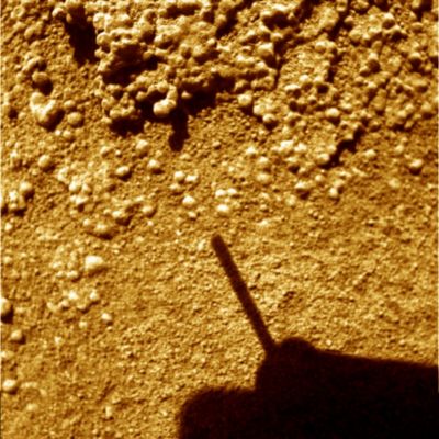 Martian "Berries", "Sand" granules or just rocky "Native Lifeforms"? - Sol 1027 (False Colors; credits for the additional process. and color.: Dr Paolo C. Fienga - Lunexit Team)
Difficile commentare "pragmaticamente" il dettaglio che l'ombra del Rover sembra indicare: non è un semplice "Martian Berry" e la struttura alla quale accede ci pare molto difficile ricondurla sic et simpliciter a fenomeni erosivi su rocce porose di origine vulcanica.
La nostra (certo discutibile, ma sicuramente onesta - e pragmatica) opinione è che potrebbe trattarsi di fossili di Forme Vitali Indigene (qualcosa di molto simile a coralli, madrepore o, comunque, forme di vita proprie, in origine, di ambienti marini ed ora, ad acque scomparse, rimaste ad essiccarsi al Sole ed al vento).

Secondo altri, invece, potrebbe trattarsi di Forme Vitali Indigene ancora "vive", ma il cui Ciclo Vitale poggerebbe su basi biologiche radicalmente diverse rispetto a quelle su cui poggiano tutte le Forme Vitali conosciute.

Altri Studiosi, infine, pensano che questi rilievi non sìano nulla di più nè di diverso da semplici rocce ignee, la cui configurazione attuale è il risultato di azioni geologiche e meteorologiche.

Ed a questo punto...Decidete Voi!

Parole chiave: Martian Soil - Extremely Controversial Feature