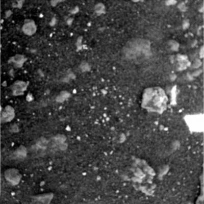 Cristals in the ground?
L'immagine è decisamente sfuocata e la qualità intrinseca dei frames che ci arrivano dal Microscopic Imager sembra essere in netto calando. Ciò nonostante, alcuni dettagli del suolo Marziano su cui il Rover Spirit si sta muovendo ci sembrano apparire con una discreta chiarezza: innanzitutto i detriti di colore chiaro e di forma vagamente rotondeggiante che si vedono in giro non paiono avere proprio nulla in comune con i cosiddetti "Martian Berries" che ricoprono Meridiani Planum; in secondo luogo, così confermando quanto già rilevato in passato, ci sembra che il terriccio sia piuttosto ricco di piccoli frammenti cristallini (forse un tipo di quarzo?). Non sappiamo che cosa sia, invece, la macchia luminosa bianca visibile alla Dx del frame (potrebbe trattarsi di una piccola roccia bianca sovraesposta come di un artefatto fotografico).
Parole chiave: Microscopic Imager