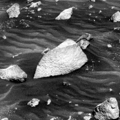 Samples of "Mars Rocks" - Sol 443 (3)
nessun commento
Parole chiave: Mars rocks, sand and debris