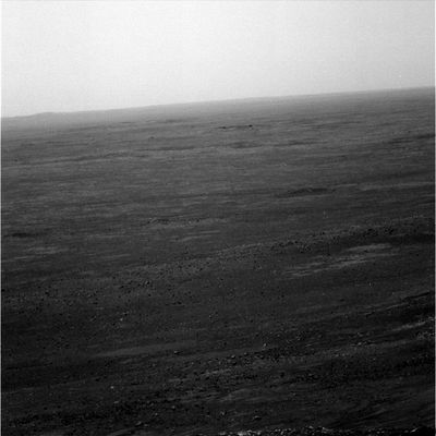 Foggy panorama and MANY photo-artifacts... - Sol 498
Una veduta della pianura di Gusev Crater, dall'alto di Husband Hill. Il frame ci sembra davvero di bassa qualità e la colpa, a nostro avviso, non è tanto della 'opacità atmosferica' (a causa delle 'polveri in sospensione', come dicono alla NASA), quanto del tipo di filtro/colore usato. 
Guardate l'immagine successiva, infatti, e noterete che, sebbene sìano passati solo un paio di minuti, tutto il paesaggio apparirà più chiaro e nitido.

Una nostra (amara) considerazione: alla NASA pensano, probabilmente, che il 99,99% di coloro che guardano e/od analizzano i 'loro' frames debbano essere proprio degli idioti...
Parole chiave: Mars Panorama