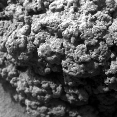Close-up on a Martian Stone (1) - Sol 503
Forse non siamo dei 'navigati' geologi ed esperti in Scienze Planetarie, ma non crediamo che una pietra come quella ripresa in questo splendido close-up dal Microscopic Imager a bordo del Rover Spirit possa definirsi come 'tipica di aree totalmente desertiche e nelle quali non c'è ombra d'acqua nè di vita - neppure a livello elementare - da qualche milione di anni'.
Gli esperti di acquariologia sanno che cosa sono le 'rocce vive'. Ebbene, a nostro avviso questa pietra è di una classe che si avvicina tantissimo a quella delle 'rocce vive', e noi vorremmo proprio vedere che cosa potrebbe succedere se la immergessimo in acqua...
Parole chiave: Microscopic Imager