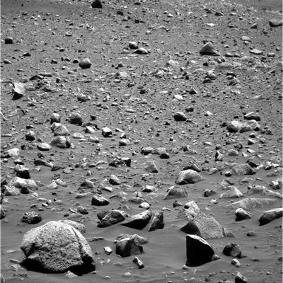 "Turtle-Rock" - Sol 516
Noi, guardando il grande macigno bianco e grigio che si trova in basso a Sx, vediamo (con gli occhi della Fantasia, naturalmente...) una grande Tartaruga.

E Voi?!?
Parole chiave: Mars rocks, sand and debris