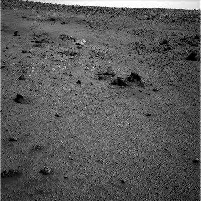 Panorama - Sol 524 (2)
E' molto interessante notare, in questi frames panoramici, la presenza, ad una modesta distanza dal Rover (25/30 mt), di grossi macigni di color chiaro, la cui morfologia (e, supponiamo, composizione) sembra essere molto diversa da quella della maggior parte delle rocce che abbiamo visto sino ad ora.
Anche gli outcrops (in questo frame ne vediamo uno molto interessante che ci ricorda - vagamente - un altro outcrop che avevamo chiamato "The Nest") sembrano avere una colorazione ed una morfologia diverse, a mano a mano che ci avviamo al summit di Husband Hill.
Potrebbe trattarsi di una circostanza curiosa e scientificamente difficile da spiegare e giustificare, siamo tuttavia perfettamente consapevoli del fatto che queste - apparenti - diversità potrebbero essere il frutto di semplici illusioni ottiche determinate, come al solito, dal cambio dei filtri/colore utilizzati.
Parole chiave: Mars Panorama - Mars rocks, sand and debris