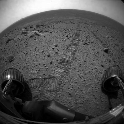 Rover Tracks and Skyline - Sol 544
nessun commento
Parole chiave: Mars Panorama