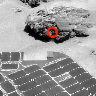 Stones - Sol 620
Iniziamo ora una panoramica che copre un'abbondante varietà di rocce marziane, alcune delle quali sembrano decisamente interessanti. Questa roccia, ad esempio (che vedremo in seguito più da vicino, in un frame del Sol 623), sembra distinguersi nettamente dal resto del paesaggio. La sua natura, ai nostri occhi, è ambigua (si tratta di una roccia di matrice apparentemente non vulcanica e potrebbe anche trattarsi di un ejecta) ma la sua liscia e - relativamente - piatta porzione superiore, a ben vedere, potrebbe essere indice del fatto che essa, in un tempo remoto, venne sottoposta all'azione levigatrice propria dell'acqua. Davvero molto intrigante (e, almeno in apparenza, "estraneo" rispetto al resto del macigno) è il dettaglio che abbiamo cerchiato in rosso...
Parole chiave: Mars rocks, sand and debris - interesting inner feature