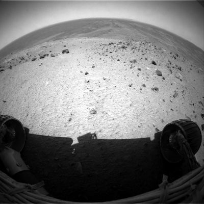 Various views (1) - Sol 639
Qualche frame che ci arriva dalla Front e dalla Rear-HazCam ci mostra la tessitura della superficie Marziana nell'area del Summit di Husband Hill: non ci sono (o, per lo meno, non abbiamo riscontrato) dei particolari da portare alla Vostra attenzione, ma ci sembra comunque importante dare ai nostri Lettori qualche elemento fotografico selezionato (fra le migliaia disponibili e quasi del tutto identici) per effettuare dei confronti tra il suolo del Summit ed il suolo della Pianura di Gusev, sulla quale Spirit è arrivato oltre un anno e mezzo fa. 
Purtroppo la qualità di quasi tutte queste immagini non è assolutamente perfetta (anzi...), ma quello che riusciamo a vedere è pur sempre meglio di nulla.
Parole chiave: Mars rocks, sand and debris