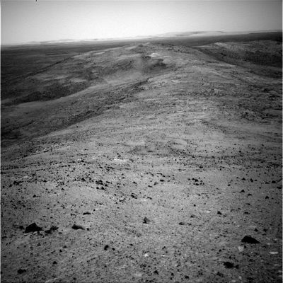 Landscape - Sol 649
Original caption:"Left Nav-Cam Non-linearized Full frame EDR acquired on Sol 649 of Spirit's mission to Gusev Crater at approx. 13:28:49 MLT".
Parole chiave: Postcards from Mars - Gusev Crater