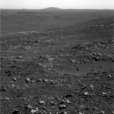 Landscape (5) - Sol 658
Abbiamo deciso di non parlare, per questa sequenza, così da stimolare la Vostra capacità di osservazione ed il Vostro acume critico. Ora, che siamo giunti a fine panoramica, Vi invitiamo - se non ci foste già arrivati da soli - a riguardare il quadro n. (3), a confrontarlo con altri frames relativi alla medesima zona ed ottenuti nei Soles trascorsi (cfr. "On the edge...(1) - Sol 642"), ed a chiederVi: "...ma quella curiosa struttura chiara e definita, presumibilmente naturale, che, ripresa da una certa distanza, sembrava un "torrione" di medievale memoria...Dove è andata a finire?!?...".

Già: ma dov'è andata a finire?!?... 
Parole chiave: Mars Panorama