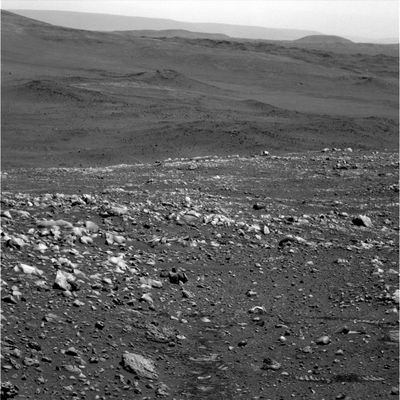 Rocky Panorama (7) - Sol 660
nessun commento
Parole chiave: Mars Panorama
