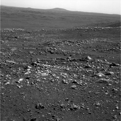 Rocky Panorama (9) - Sol 660
E con questo frame, chiudiamo la panoramica del Sol 660. 
Abbiamo provato a proporVi curiosità (come il "Grigio" che sbuca da dietro una roccia e guarda verso il Rover), Singolarità ("pseudo-rocce con foro"), forse un paio di Anomalìe (crepe squadrate e regolari) e svariate opere di "manipolazione" (ombre e rocce impossibili). 
Certo, su qualche interpretazione ci sbaglieremo pure.
In fondo, quello che da tempo rimproveriamo ad Hoagland, alla Sua Scuola ed a tanti altri Ricercatori ed Appassionati, vale anche per noi: se si vuole vedere qualche cosa a tutti i costi, si finisce SEMPRE ed INEVITABILMENTE con il vederla, qualunque cosa sia (rovine, manufatti, alterazioni, rocce anomale e così via). 

Che dire? Noi ci muoviamo con prudenza e nella consapevolezza che potremmo anche sbagliarci. Altri si muovono con passo spedito, convinti di essere nel giusto. Noi non sappiamo chi abbia ragione e chi torto o quale metodo sia il migliore: noi Vi invitiamo solo a guardare e pensare. 

Il resto...è nel Futuro.
Parole chiave: Mars Panorama