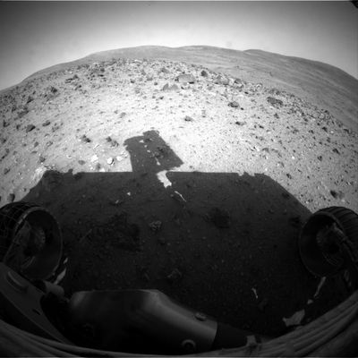 Looking at the shadow - Sol 666
Original caption:"Spirit is healthy and making good progress downhill. The Rover performed an extensive campaign with the tools on the RA at an outcrop called 'Larry's Bench' and made targeted observations with other instruments. 
The team has been taking advantage of every drive sol, averaging about 40 mt (131 feet) per sol.
Mars is currently passing through a debris trail of Halley's comet, and Spirit is attempting to observe resulting meteor showers with the PanCam at night".
Parole chiave: Postcards from Mars - Mars Horizon