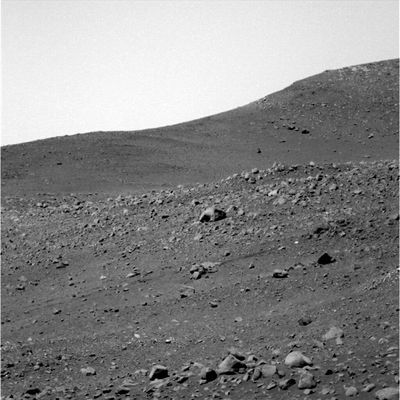 Landscape with strange boulder... - Sol 672
Una curiosità: il macigno che caratterizza questa veduta delle pendici di Husband Hill ci ricorda - un pò... - la "Skull-Rock" che il nostro Amico Fabio Italiano ha individuato in un'altra zona di Gusev Crater, molti Soles prima che venisse ottenuto questo frame. Due "macigni" inusuali, due pseudo-rocce, due pseudo-fossili o due fossili veri e propri?

Noi vorremmo tanto saperlo ma...Dobbiamo aspettare e confidare in una futura investigazione "in loco" (e speriamo di non dover attendere il 2050...).
Parole chiave: Mars Panorama - Rocks, Outcrops and Boulders - Controversial