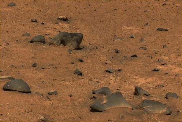 Details of some unusual-looking rocks (2) - Sol 673
nessun commento
Parole chiave: Mars rocks, sand and debris